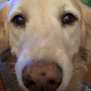 Meet your Posher, Brandy